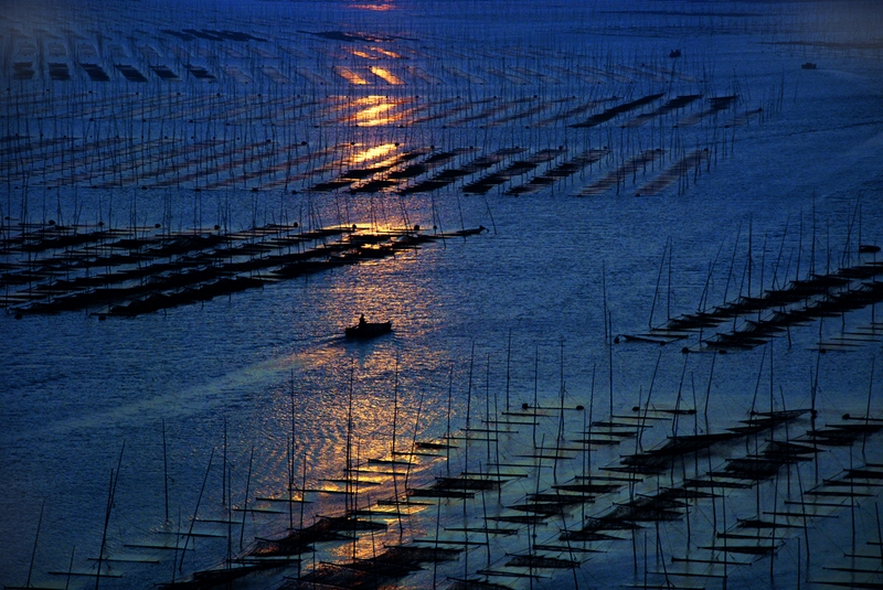 2 - TO WELCOME THE MORNING SUN - WU ZELING - china.jpg